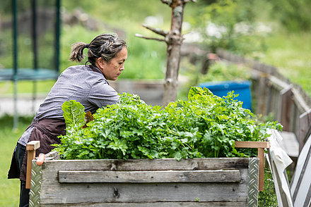 Gastgeberin Belinda Leitner im Zollwirt Garten © Armin Kleinlercher Gastgeberin Belinda Leitner erntet frisches Gemüse im Zollwirt Garten © Armin Kleinlercher